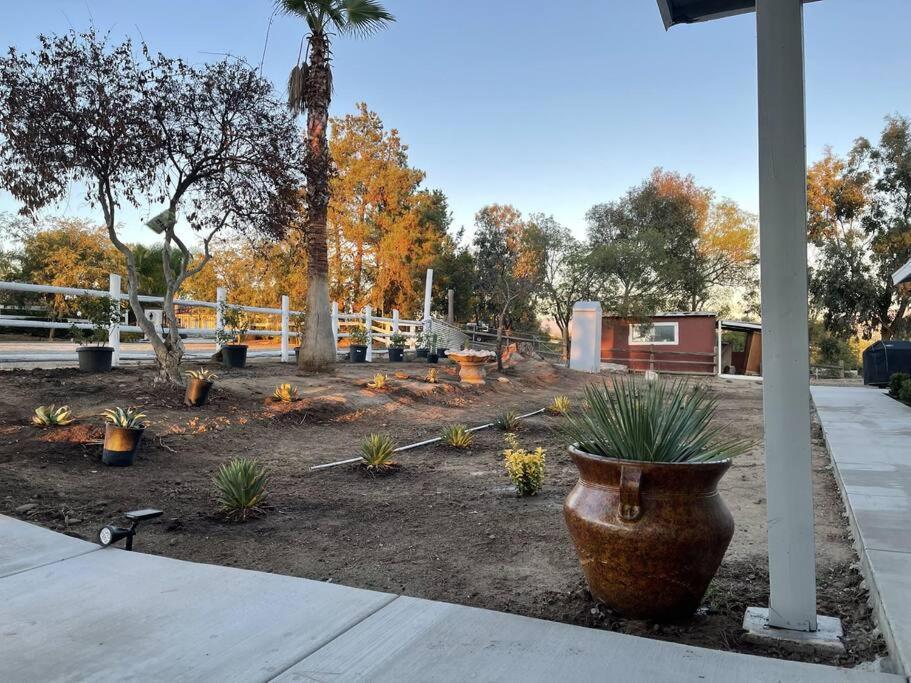Rejuvenation * Temecula
